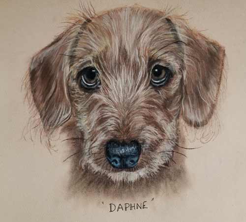 Daphne Pastel by Angela Crockatt