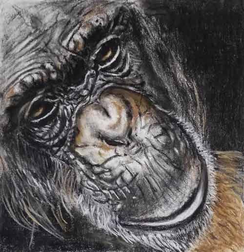 Gorilla by Angela Crockatt