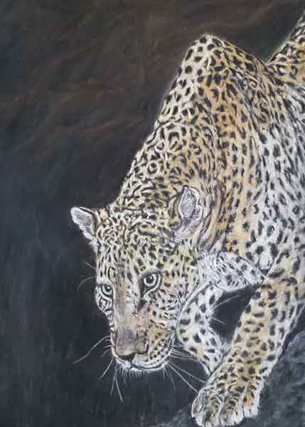 Leopard by Angela Crockatt